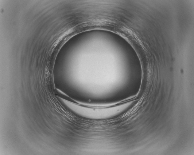 X0000059841210200511111736