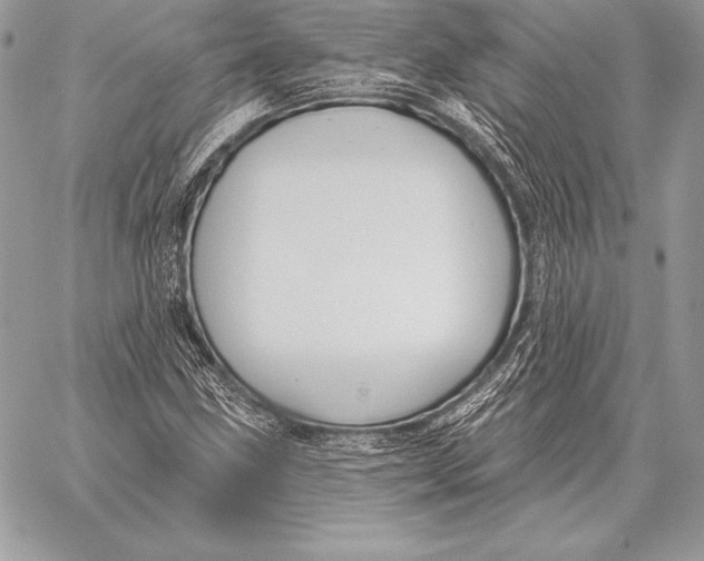 X0000059841211200511111736