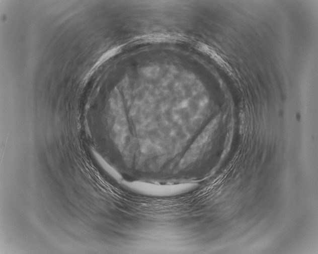 X0000059841213200511111736