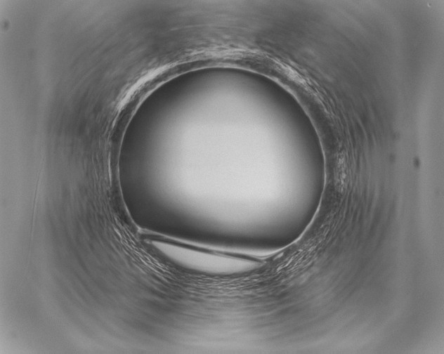 X0000059841214200511111736