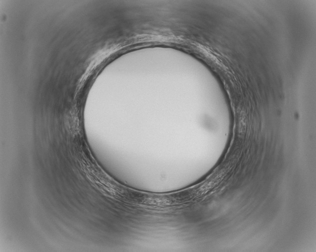 X0000059841215200511111736