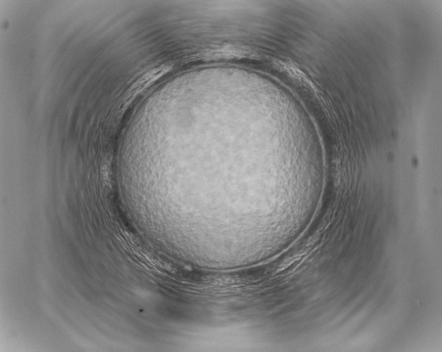 X0000059841217200511111736