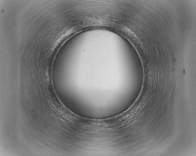 X0000059841218200511111736