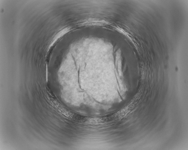 X0000059841219200511111736