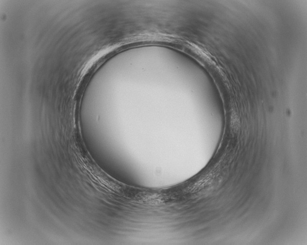 X0000059841222200511111736