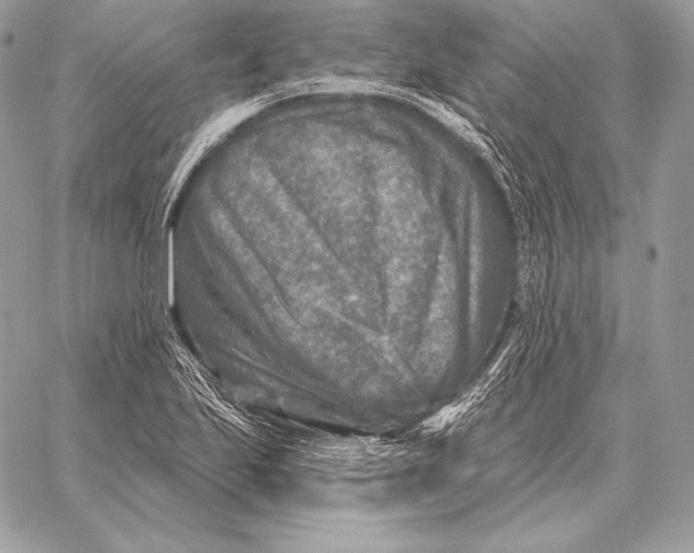 X0000059841223200511111736