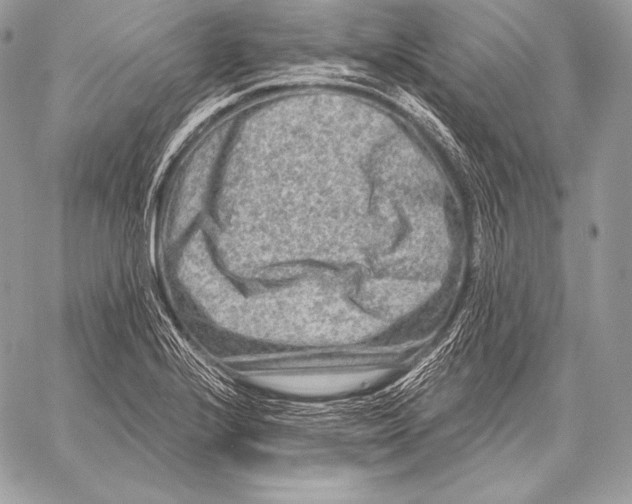 X0000059841224200511111736