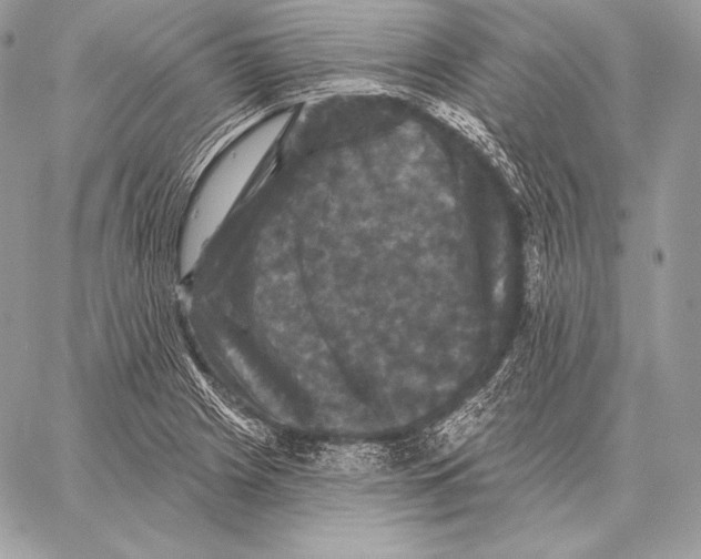 X0000059841225200511111736