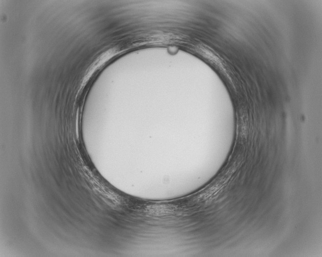 X0000059841227200511111736