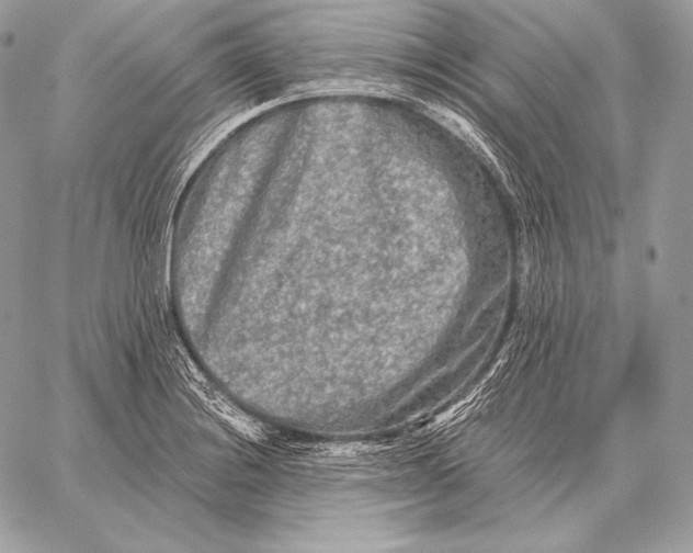 X0000059841228200511111736