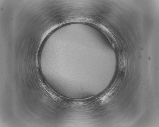 X0000059841230200511111736