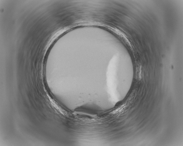 X0000059841231200511111736