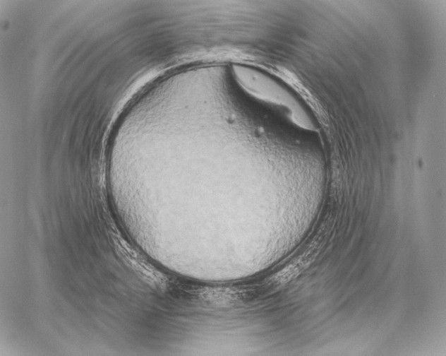 X0000059841232200511111736