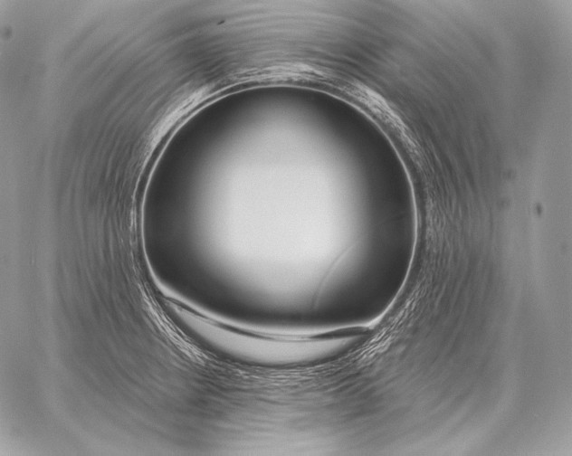 X0000059841234200511111736