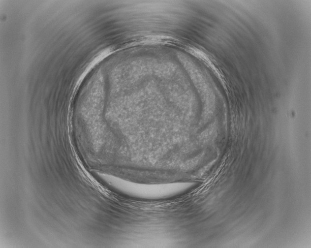 X0000059841235200511111736