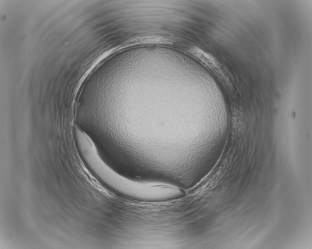 X0000059841236200511111736