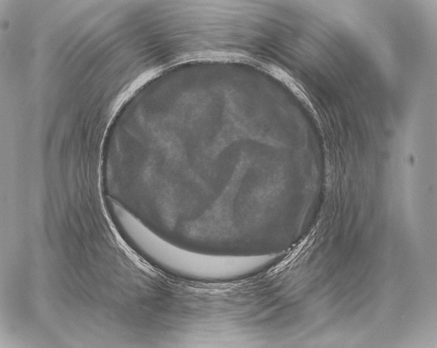 X0000059841237200511111736