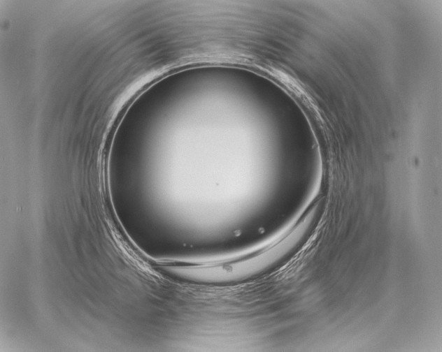 X0000059841238200511111736