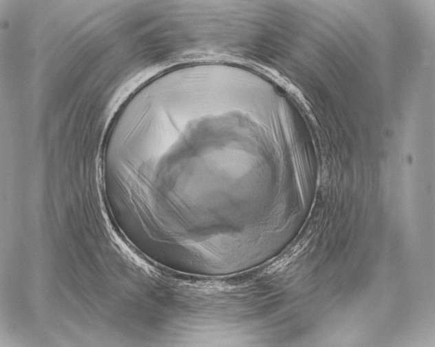 X0000059841239200511111736