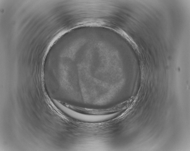 X0000059841240200511111736