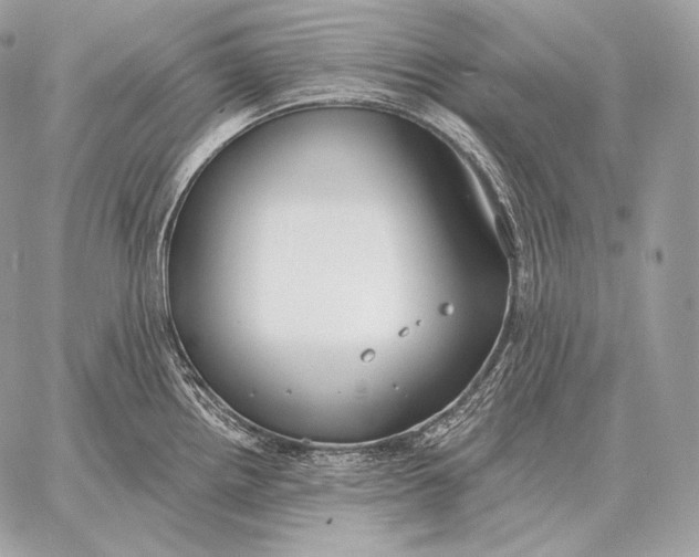 X0000059841242200511111736