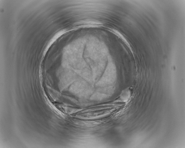 X0000059841243200511111736