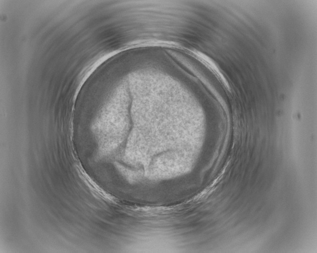 X0000059841244200511111736