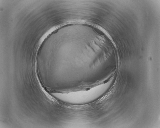 X0000059841245200511111736