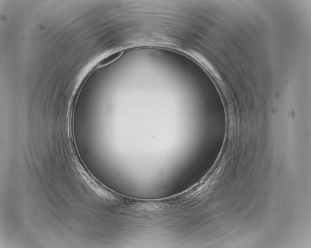 X0000059841246200511111736