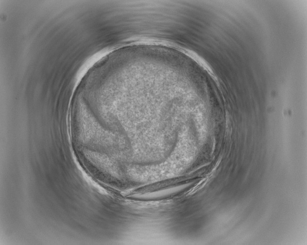 X0000059841247200511111736