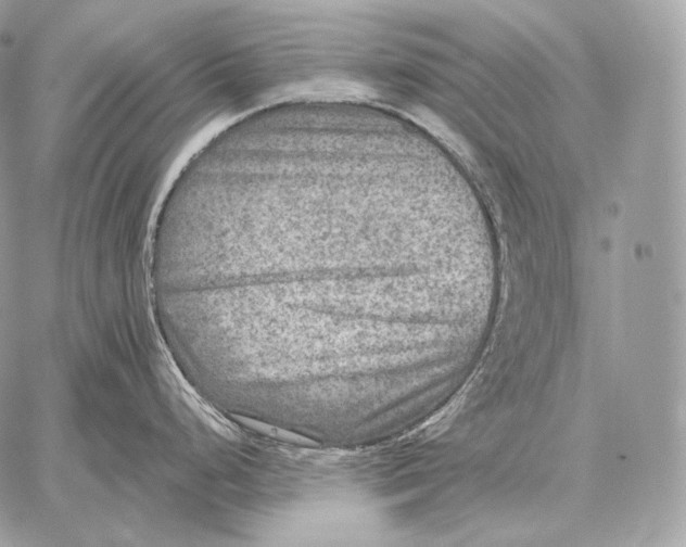 X0000059841248200511111736