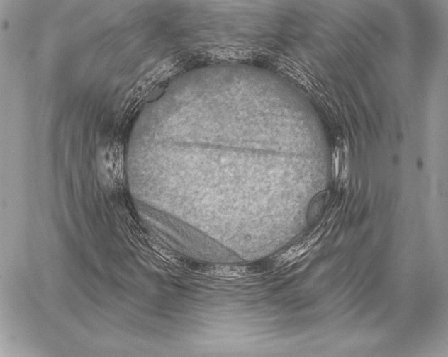 X0000059841251200511111736