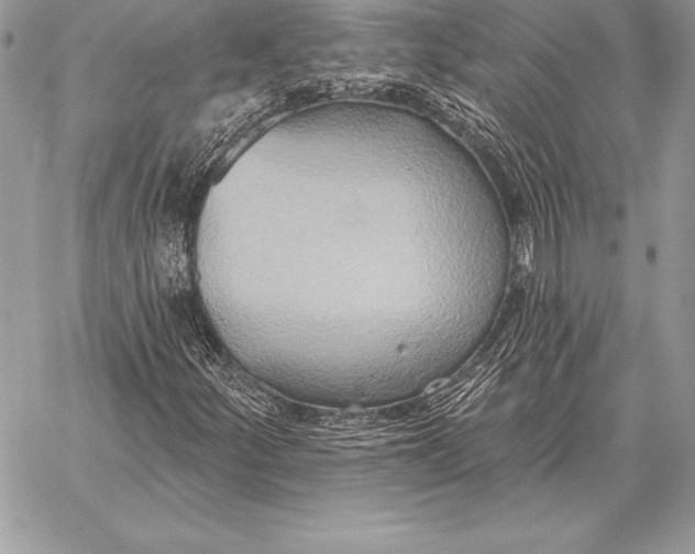 X0000059841252200511111736