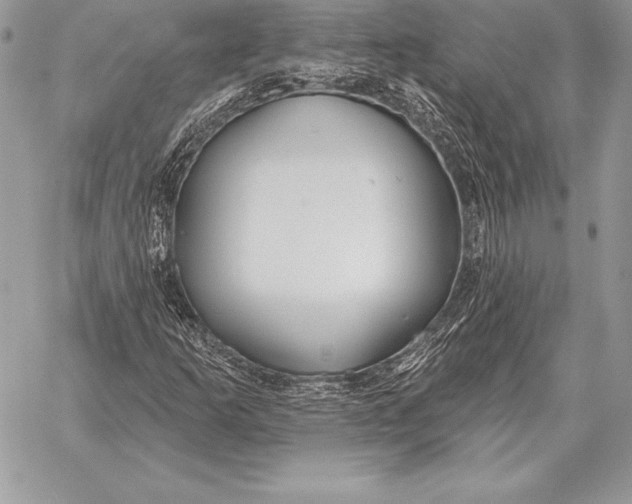 X0000059841253200511111736