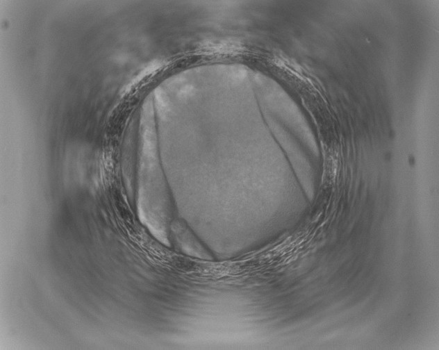 X0000059841254200511111735