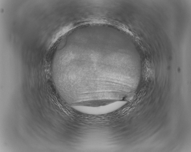 X0000059841255200511111735