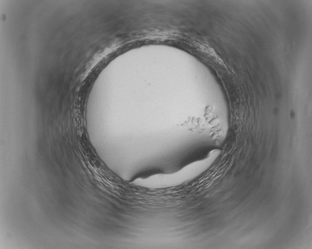 X0000059841256200511111735