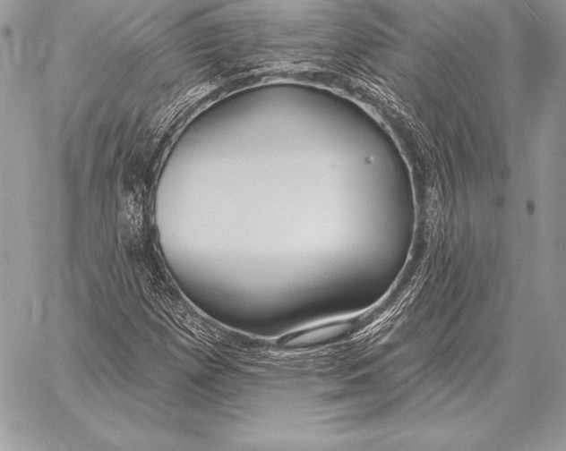 X0000059841257200511111735