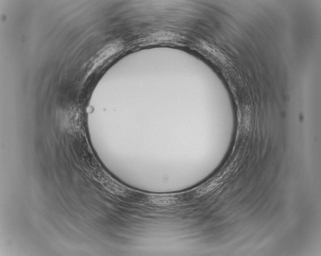 X0000059841258200511111735