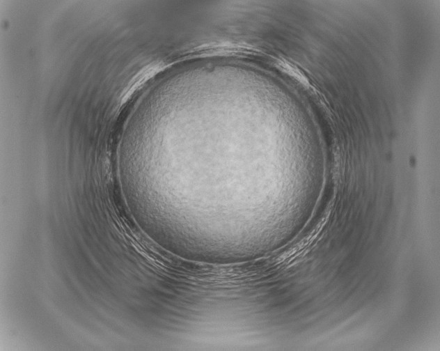 X0000059841259200511111735