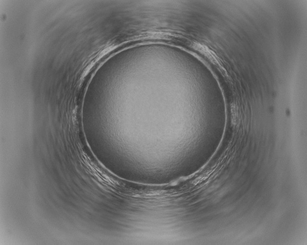 X0000059841260200511111735