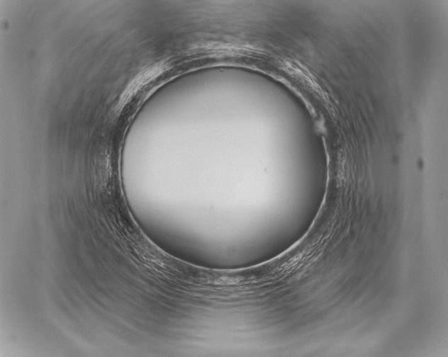 X0000059841261200511111735