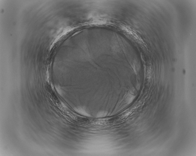 X0000059841262200511111735