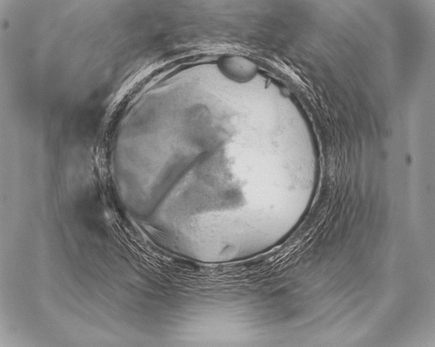 X0000059841263200511111735