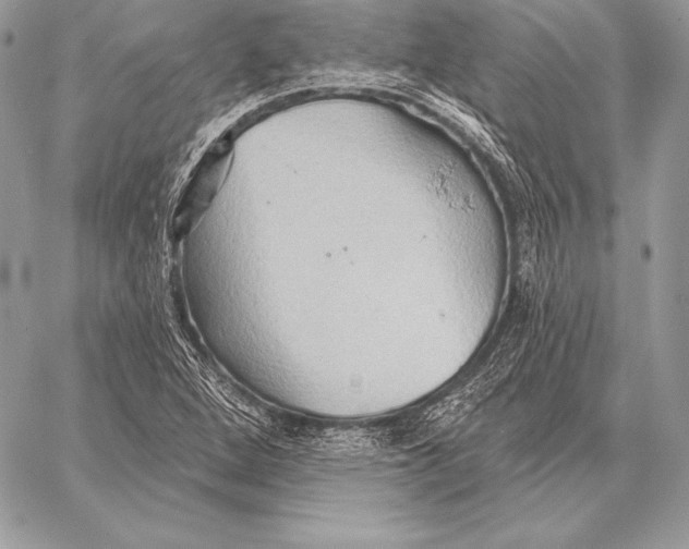 X0000059841264200511111735