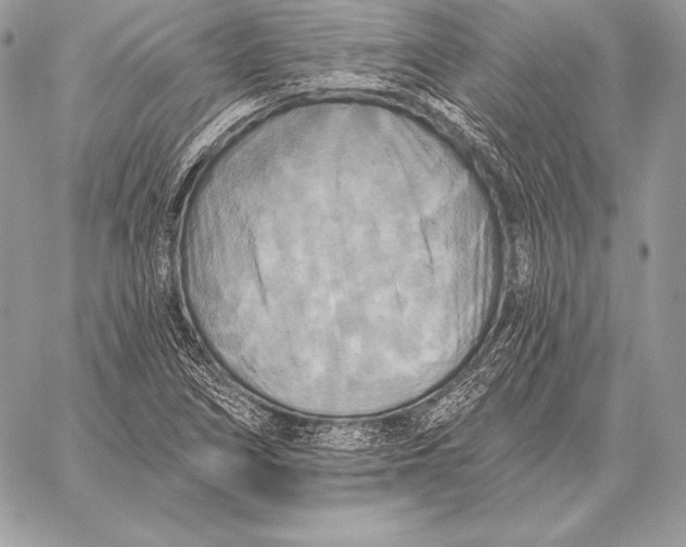 X0000059841266200511111735