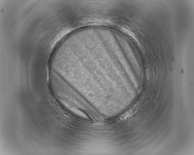 X0000059841267200511111735