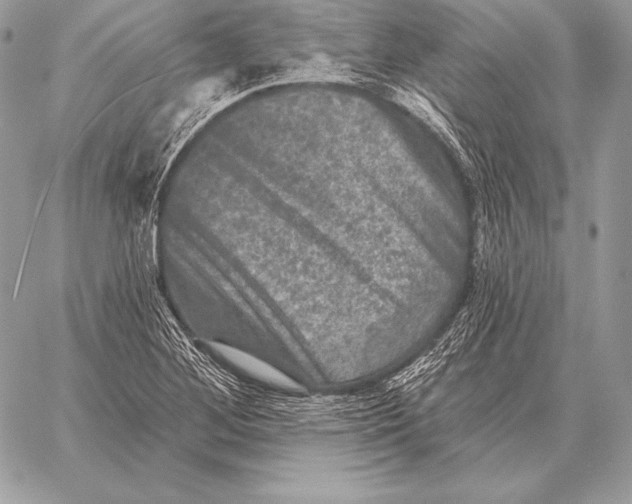 X0000059841268200511111735