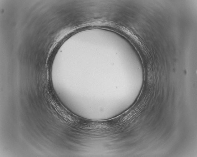 X0000059841270200511111735