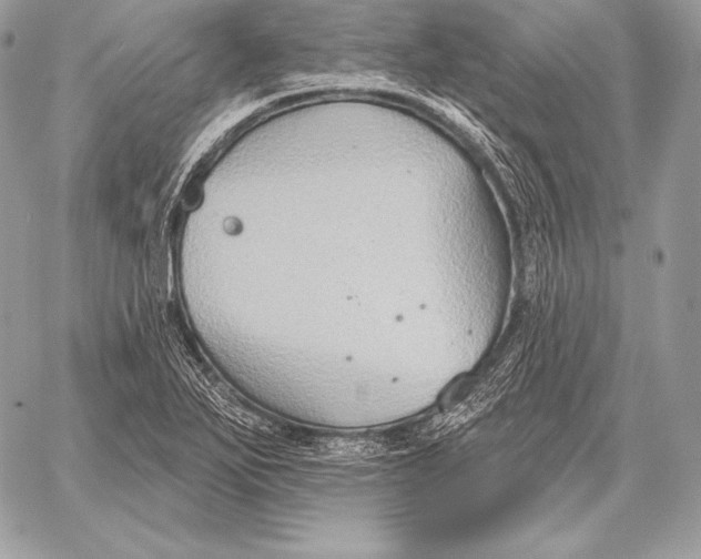 X0000059841271200511111735